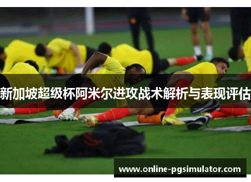 新加坡超级杯阿米尔进攻战术解析与表现评估