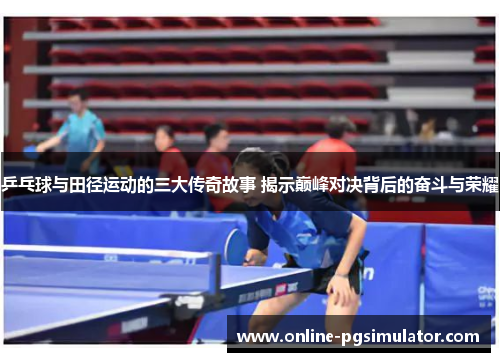 乒乓球与田径运动的三大传奇故事 揭示巅峰对决背后的奋斗与荣耀