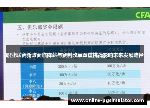职业联赛新政面临降薪与赛制改革双重挑战影响未来发展路径