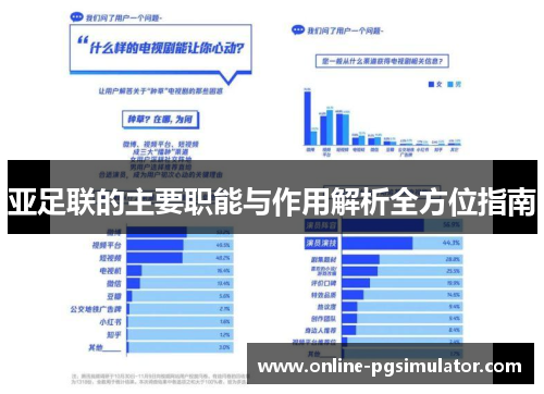 亚足联的主要职能与作用解析全方位指南