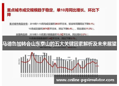 马德鲁加转会山东泰山的五大关键因素解析及未来展望