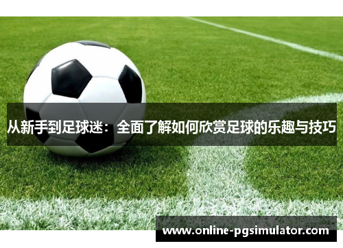 从新手到足球迷：全面了解如何欣赏足球的乐趣与技巧