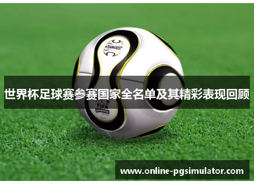 世界杯足球赛参赛国家全名单及其精彩表现回顾