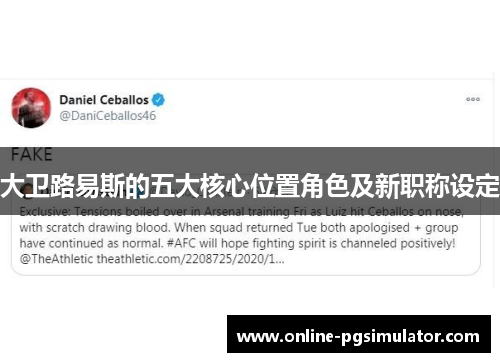 大卫路易斯的五大核心位置角色及新职称设定 大卫路易斯的五大核心位置角色及新职称设定