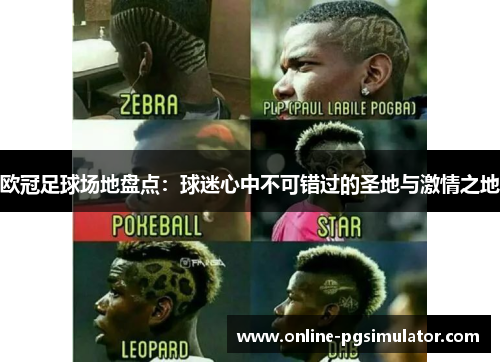 欧冠足球场地盘点：球迷心中不可错过的圣地与激情之地