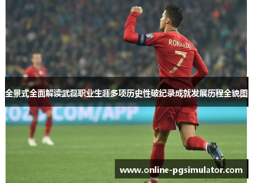 全景式全面解读武磊职业生涯多项历史性破纪录成就发展历程全貌图 全景式全面解读武磊职业生涯多项历史性破纪录成就发展历程全貌图